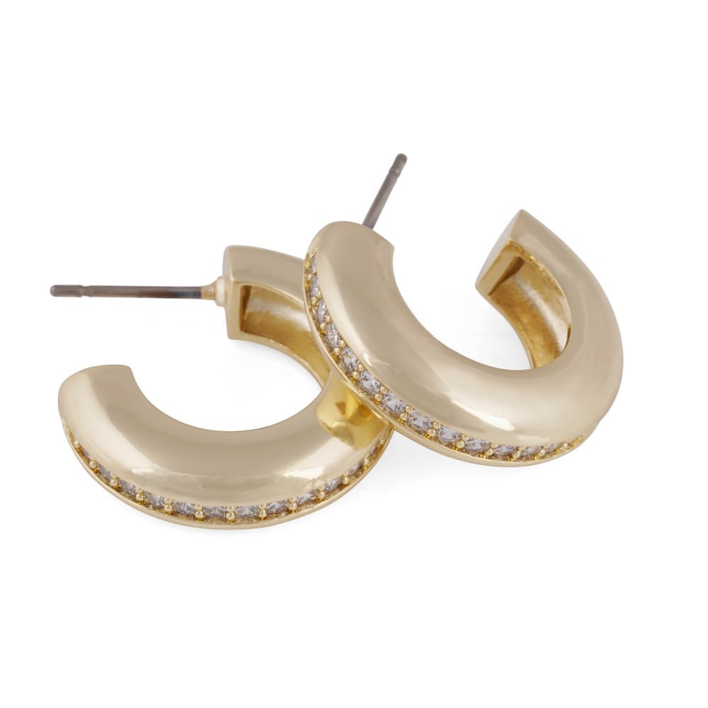 Liz crystal oval pin big ear g/clear
