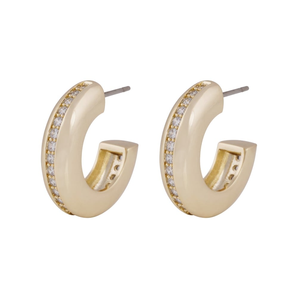 Liz crystal oval pin big ear g/clear
