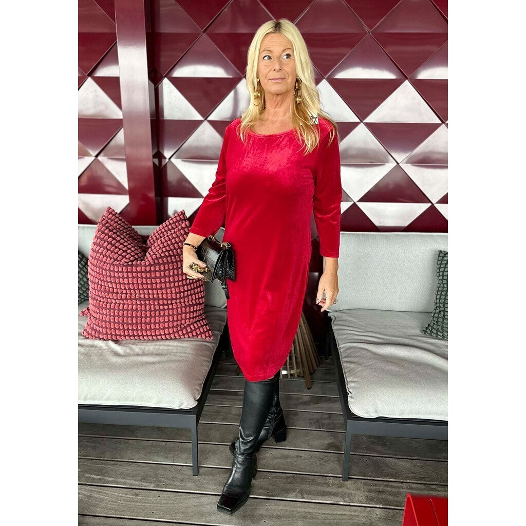 Ewy Velvet Dress
